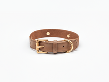 Load image into Gallery viewer, Beige Dog Collar