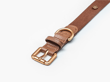 Load image into Gallery viewer, Beige Dog Collar
