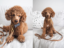 Load image into Gallery viewer, Beige Dog Leash