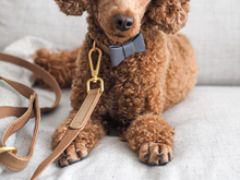 Load image into Gallery viewer, Beige Dog Leash