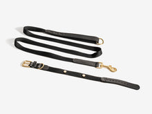 Load image into Gallery viewer, Black Dog Collar Walk Kit
