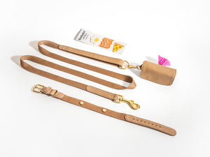 Beige Dog Collar Walk Kit +  Poop Bag Holder + Pins