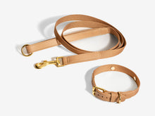 Load image into Gallery viewer, Super Dog Collar Kit
