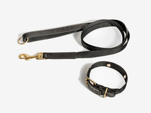Load image into Gallery viewer, Black Dog Collar Walk Kit
