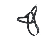 Load image into Gallery viewer, Pitch Black Dog Harness Walk Kit
