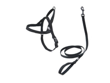 Load image into Gallery viewer, Pitch Black Dog Harness Walk Kit
